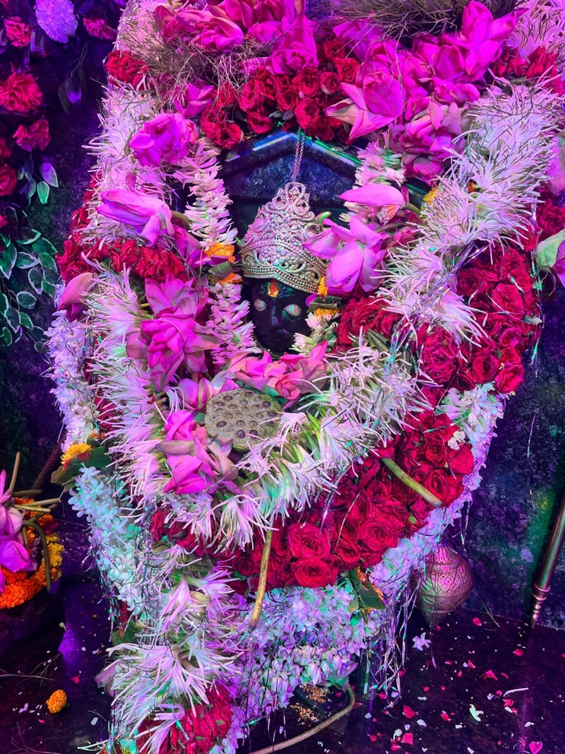 naidunia_image